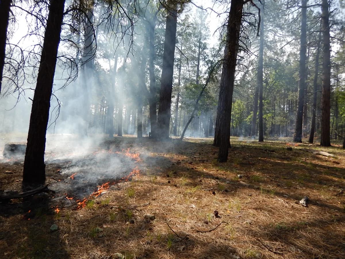 Upper Peninsula wildfires burn 565 acres in Marquette and Baraga counties, prompting Marquette County evacuations