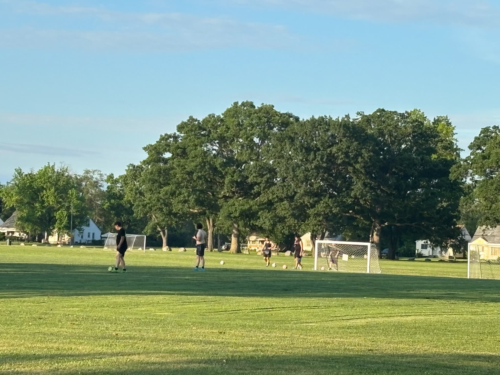 Detroit City Council approves $2.7 million for cameras and lighting at four parks