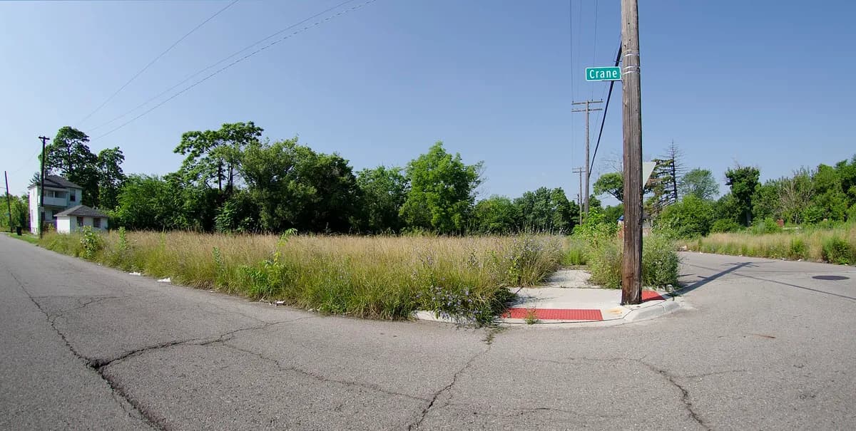 Detroit father charged after 8-year-old son shot 11-year-old brother with unsecured gun on Artesian Street