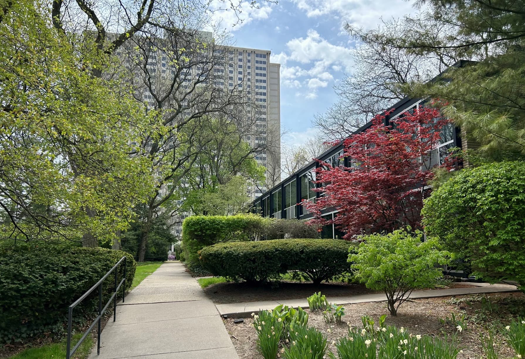 Detroit Thermal emails sought Black residents to speak for Lafayette Park steam project