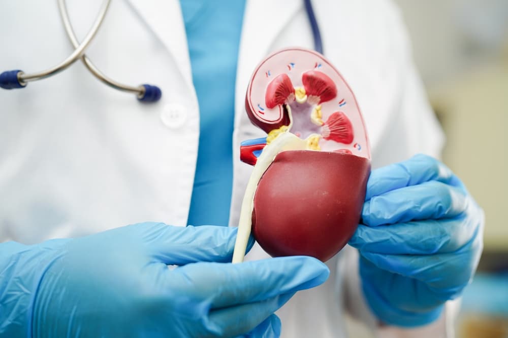 Birmingham marketing agency's four-year social media search finds kidney donor for Detroit-area woman with Alport syndrome