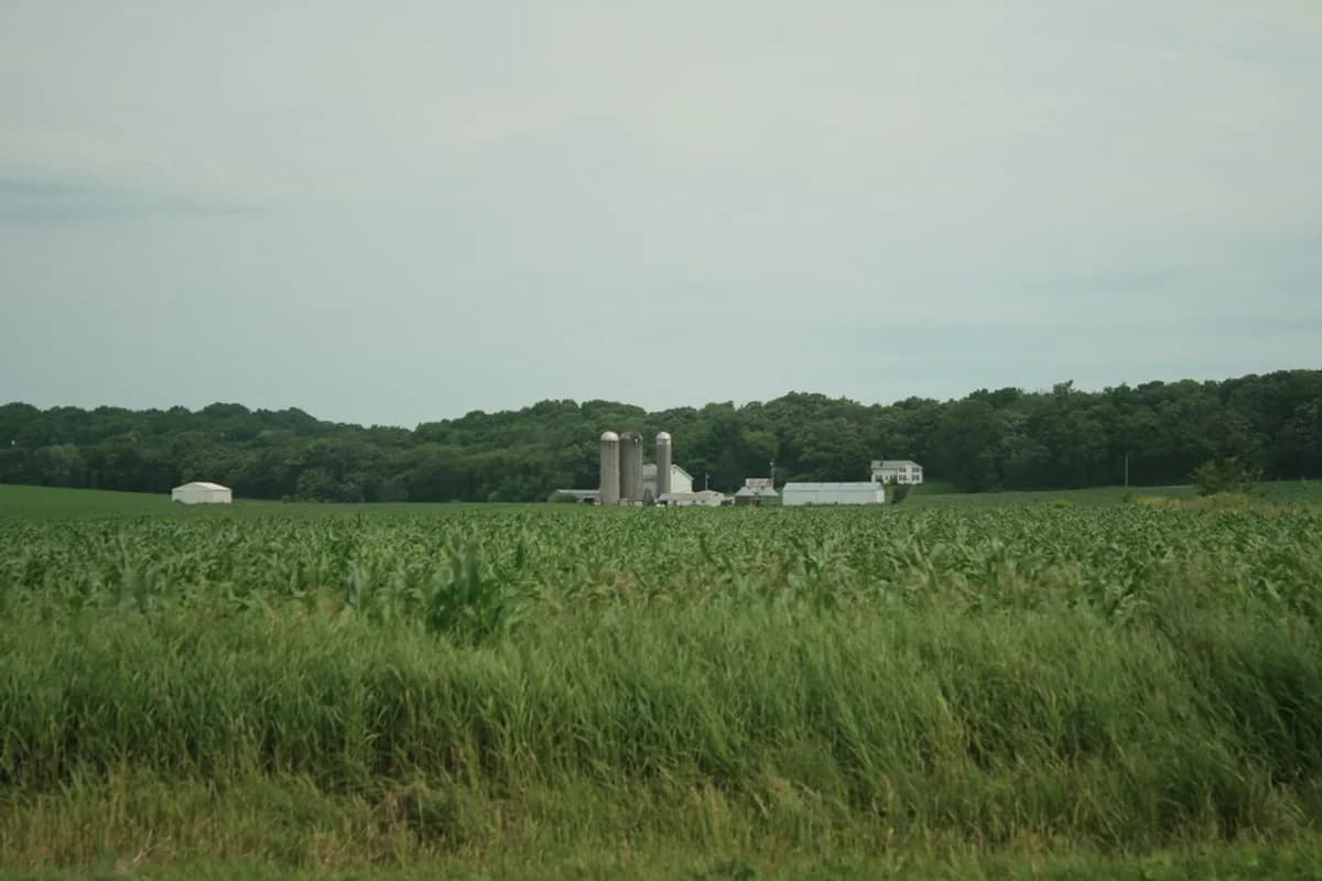 Two Inkster boys, ages 4 and 6, found safe in an Ohio cornfield after their father died from a self-inflicted gunshot wound