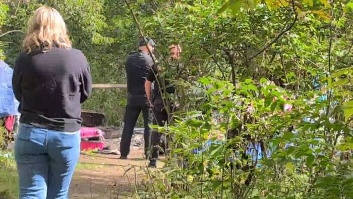 Wayne County plans cleanup of homeless encampment behind Kroger in Westland after residents demand action